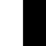 Transparent Noir