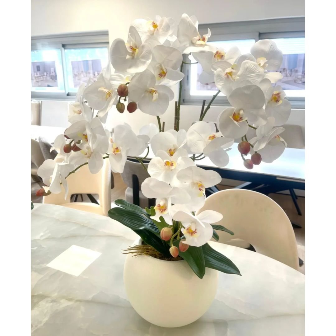 Fleur Orchidée Blanc bouton