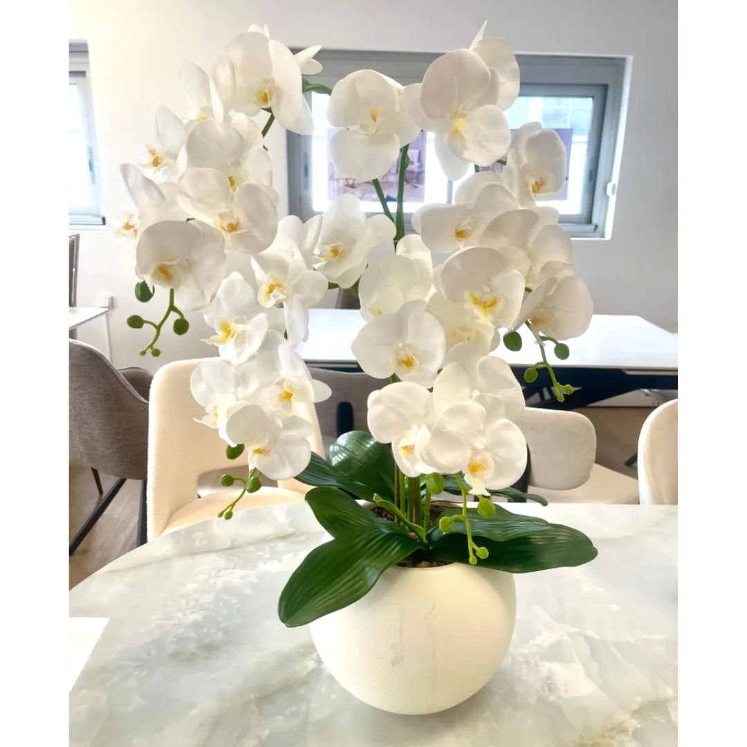 Fleur Orchidée Blanc