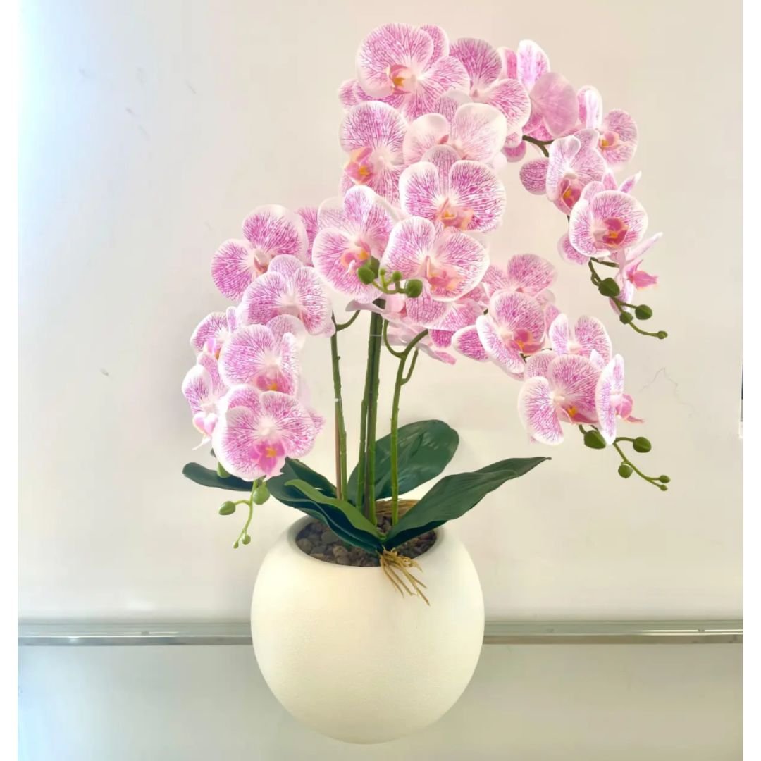 Fleur Orchidée Rose